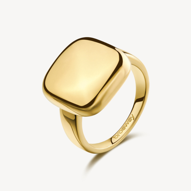 Anello MUSE in acciaio 316L e finitura pvd oro 14K